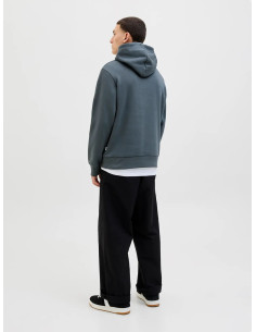 Sudadera capucha letras pecho JACK&JONES modelo 12279649 2