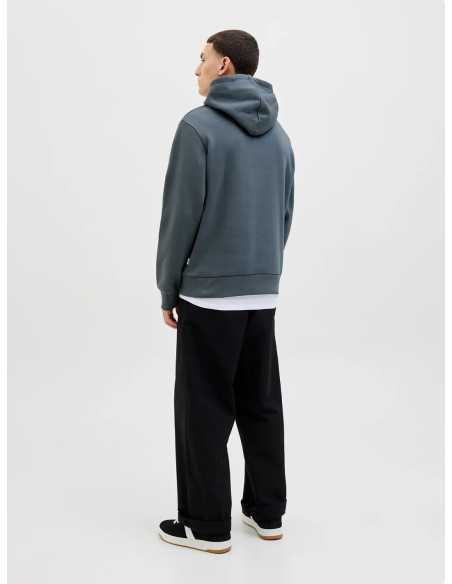 Sudadera capucha letras pecho JACK&JONES modelo 12279649